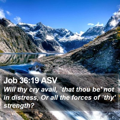 Job 36:19 ASV Bible Verse Image