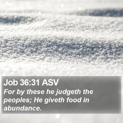 Job 36:31 ASV Bible Verse Image