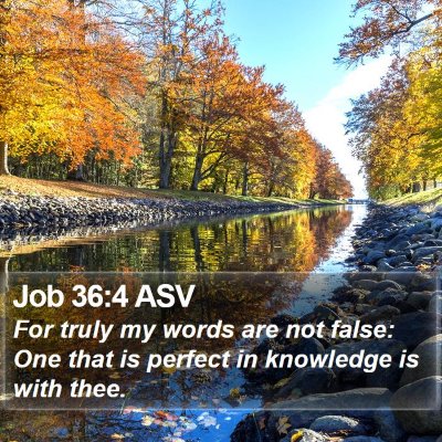 Job 36:4 ASV Bible Verse Image