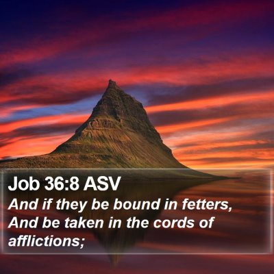 Job 36:8 ASV Bible Verse Image