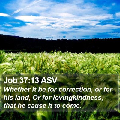 Job 37:13 ASV Bible Verse Image