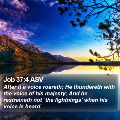 Job 37:4 ASV Bible Verse Image