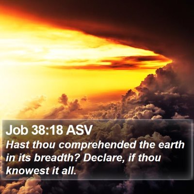 Job 38:18 ASV Bible Verse Image