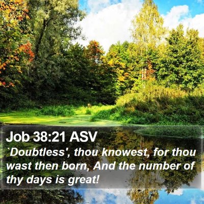 Job 38:21 ASV Bible Verse Image