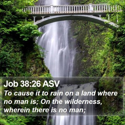 Job 38:26 ASV Bible Verse Image