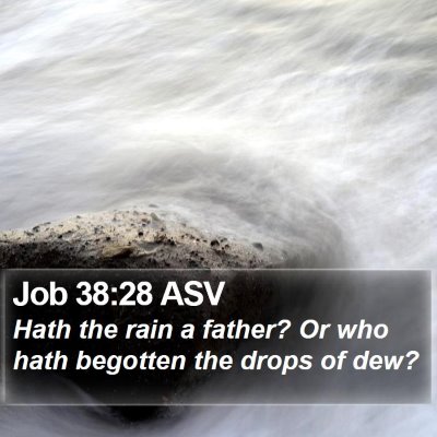Job 38:28 ASV Bible Verse Image
