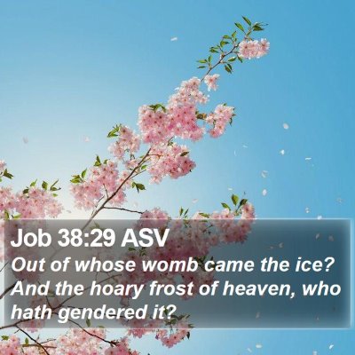 Job 38:29 ASV Bible Verse Image