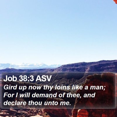 Job 38:3 ASV Bible Verse Image