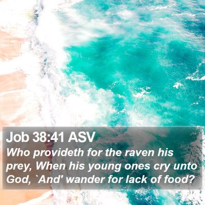 Job 38:41 ASV Bible Verse Image