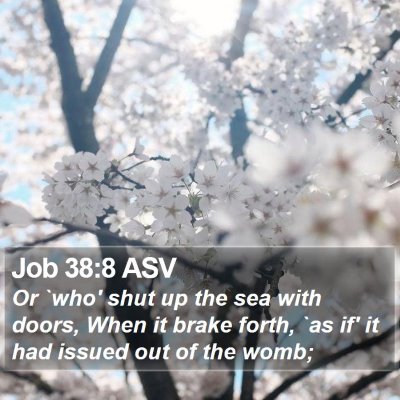 Job 38:8 ASV Bible Verse Image