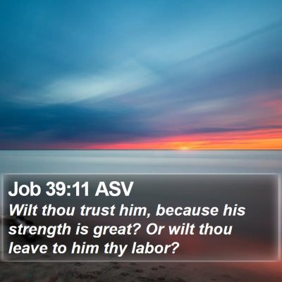 Job 39:11 ASV Bible Verse Image