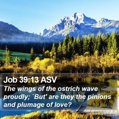 Job 39:13 ASV Bible Verse Image