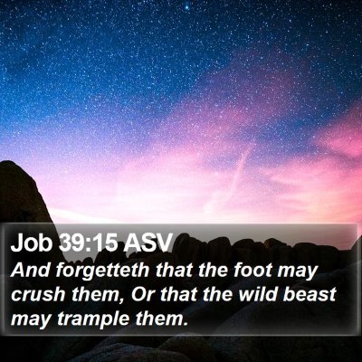 Job 39:15 ASV Bible Verse Image