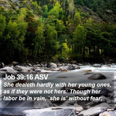 Job 39:16 ASV Bible Verse Image