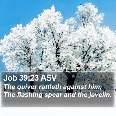 Job 39:23 ASV Bible Verse Image
