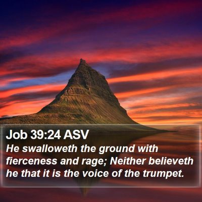 Job 39:24 ASV Bible Verse Image