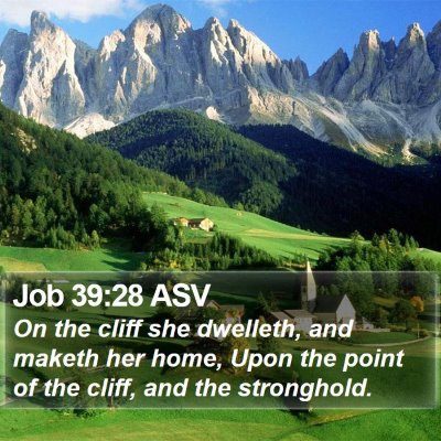 Job 39:28 ASV Bible Verse Image