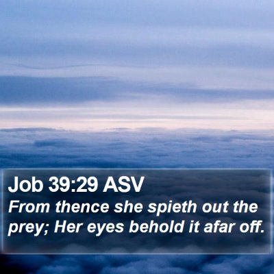 Job 39:29 ASV Bible Verse Image