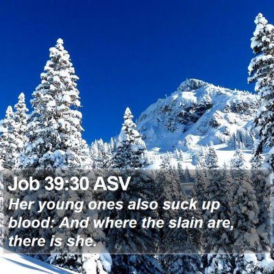 Job 39:30 ASV Bible Verse Image