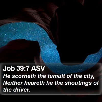 Job 39:7 ASV Bible Verse Image