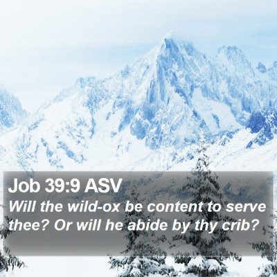 Job 39:9 ASV Bible Verse Image