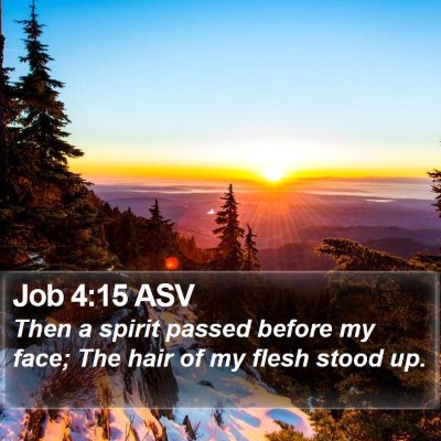 Job 4:15 ASV Bible Verse Image