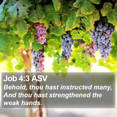 Job 4:3 ASV Bible Verse Image