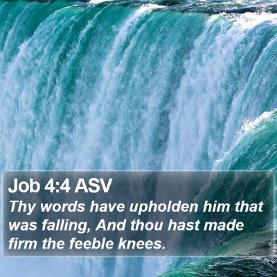 Job 4:4 ASV Bible Verse Image