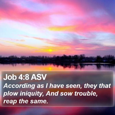 Job 4:8 ASV Bible Verse Image