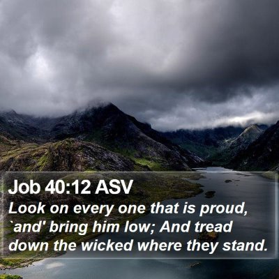 Job 40:12 ASV Bible Verse Image