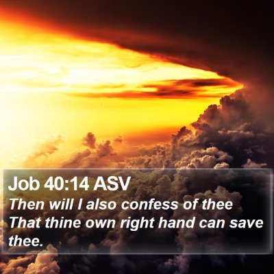 Job 40:14 ASV Bible Verse Image