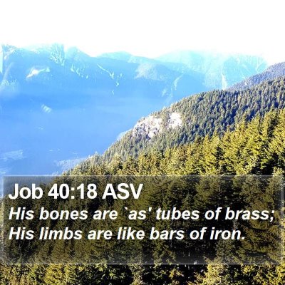 Job 40:18 ASV Bible Verse Image