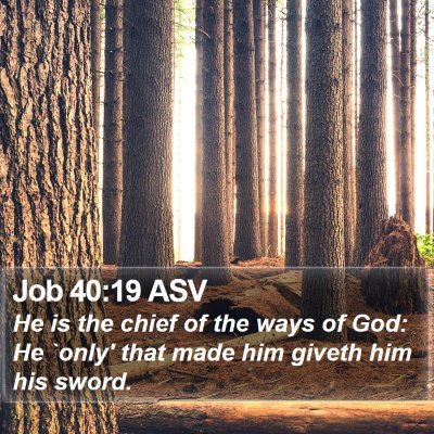 Job 40:19 ASV Bible Verse Image