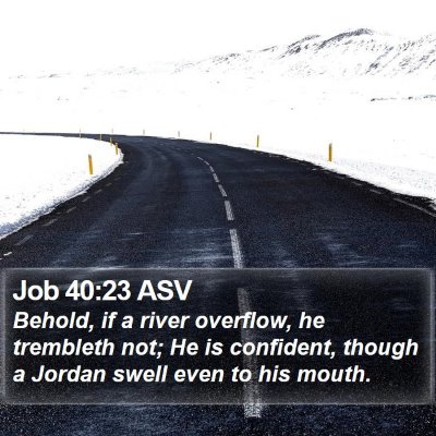 Job 40:23 ASV Bible Verse Image