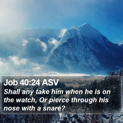 Job 40:24 ASV Bible Verse Image