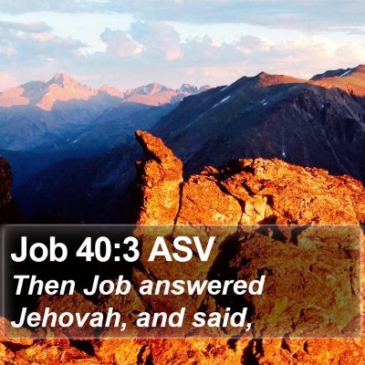 Job 40:3 ASV Bible Verse Image