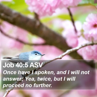 Job 40:5 ASV Bible Verse Image
