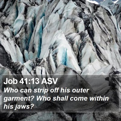 Job 41:13 ASV Bible Verse Image