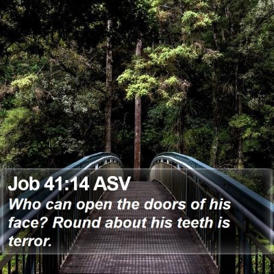 Job 41:14 ASV Bible Verse Image