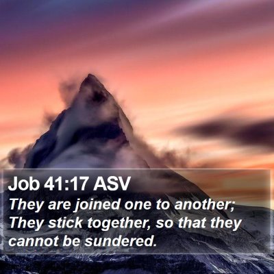 Job 41:17 ASV Bible Verse Image
