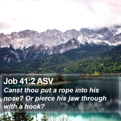 Job 41:2 ASV Bible Verse Image
