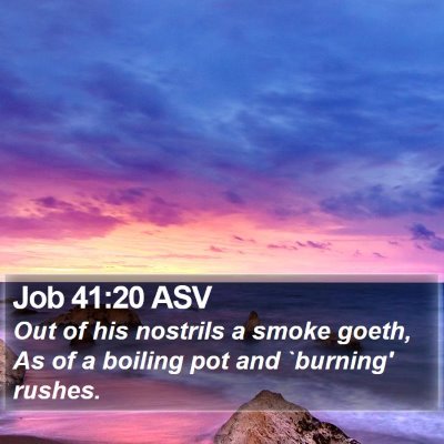 Job 41:20 ASV Bible Verse Image