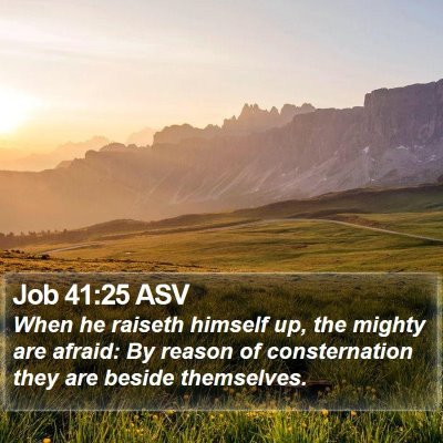 Job 41:25 ASV Bible Verse Image