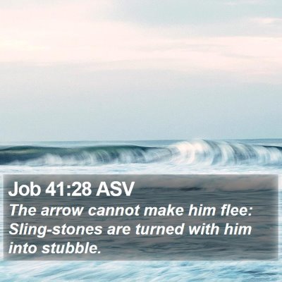 Job 41:28 ASV Bible Verse Image