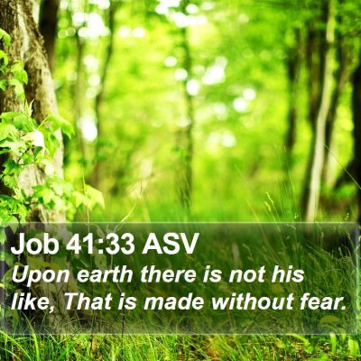 Job 41:33 ASV Bible Verse Image