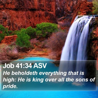 Job 41:34 ASV Bible Verse Image