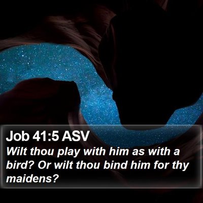 Job 41:5 ASV Bible Verse Image