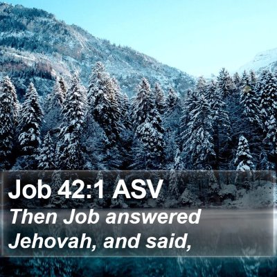 Job 42:1 ASV Bible Verse Image