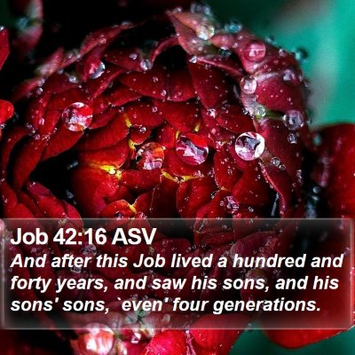 Job 42:16 ASV Bible Verse Image