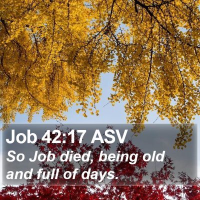 Job 42:17 ASV Bible Verse Image